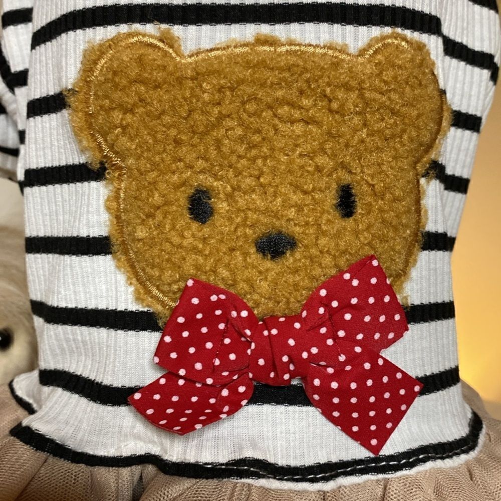 Teddy Bear Tulle Skirt Dog Dress - Picture 4 of 7
